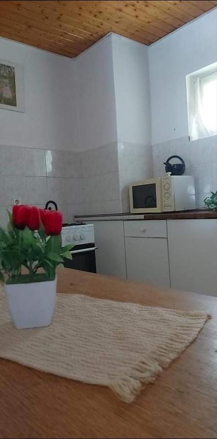 Visszavar-Lak Privat Berlemeny Badacsonytomaj Exterior photo